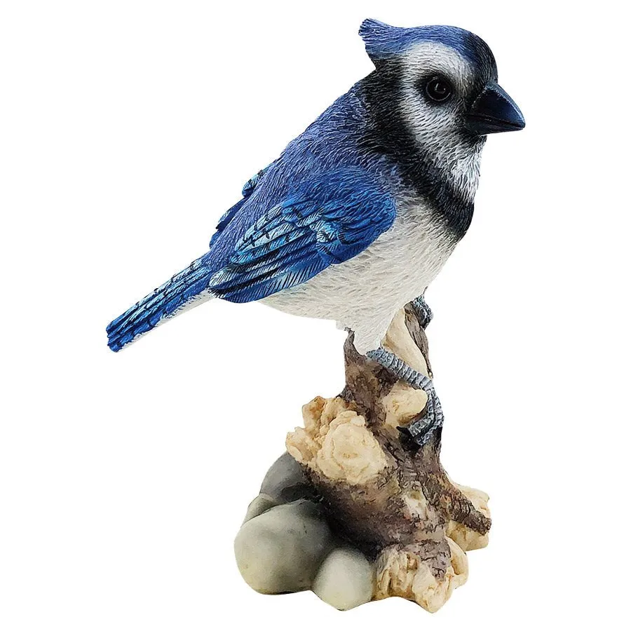 Decor - Perched Blue Jay