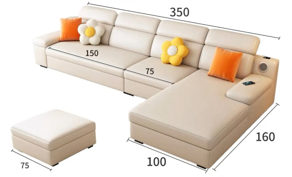 Flor Sectional Sofa Bed