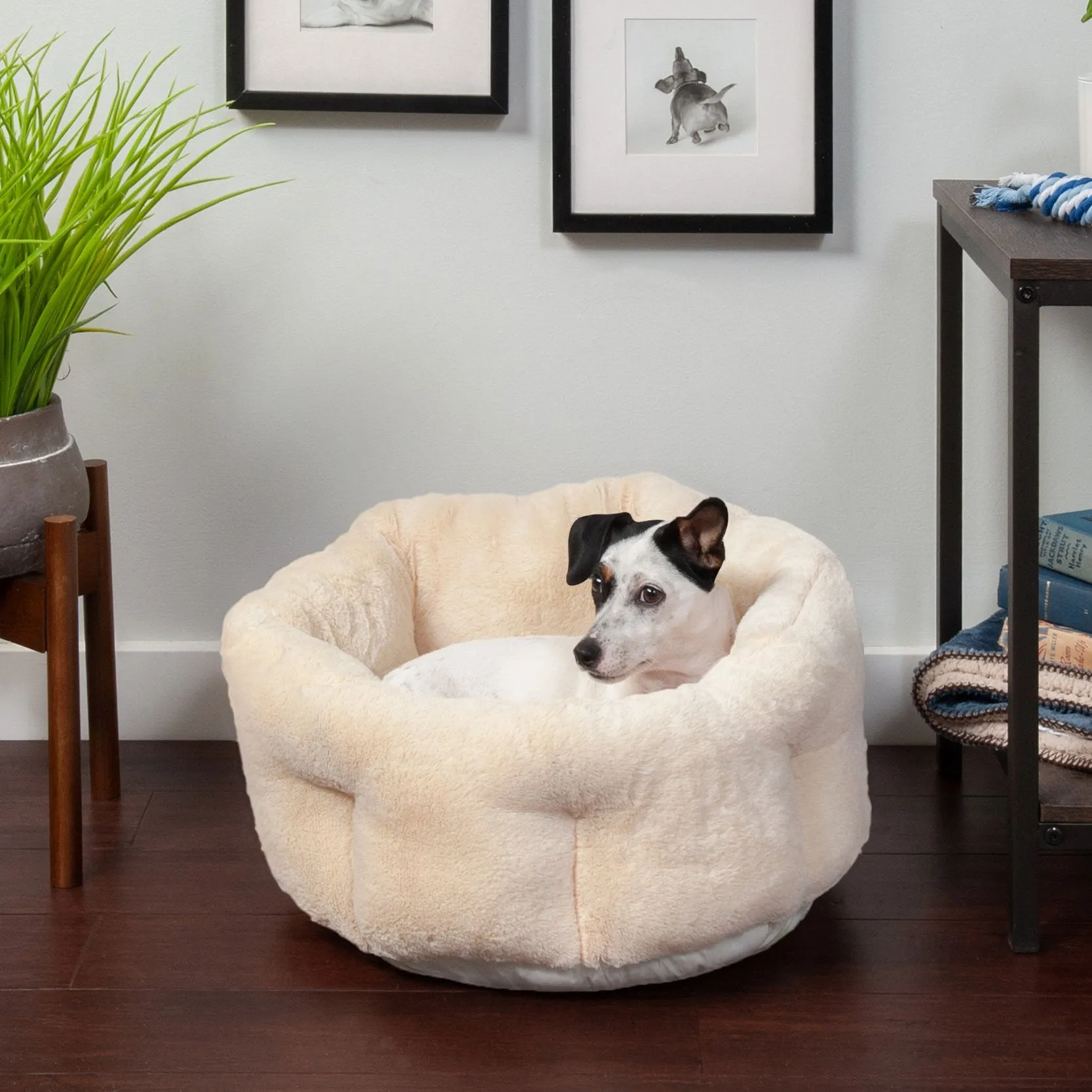 FurHaven Luxury Fur Warming Hi-Lo Cuddler Bed - Small 20, Cream