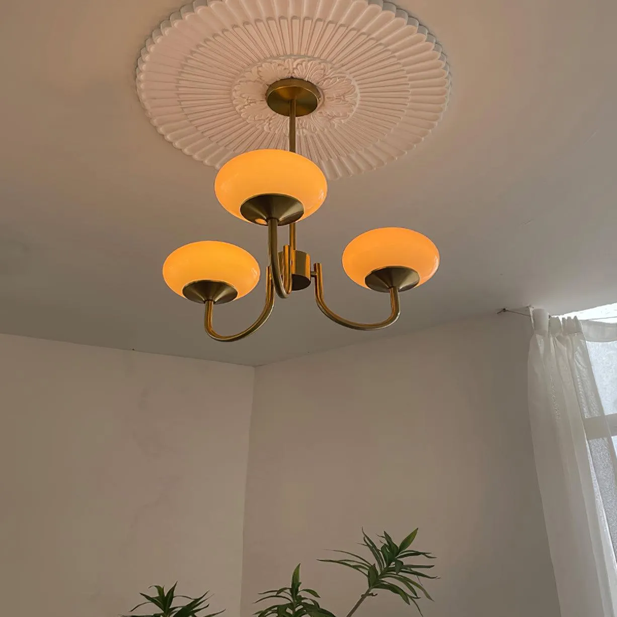 Glowing Delight - Modern Chandelier by Marshmallow