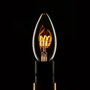 Leda Flexible LED Filament Light Bulb