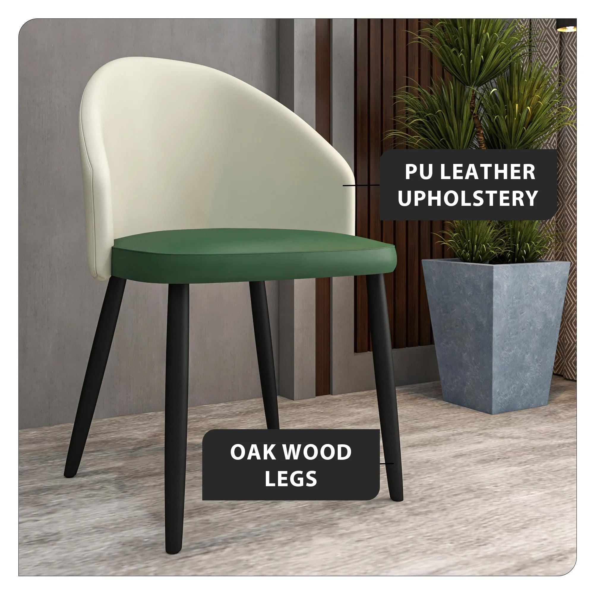 Paradiso Dining Chairs Leather Seat and Curved Back with Oak Wood Legs Set of 2